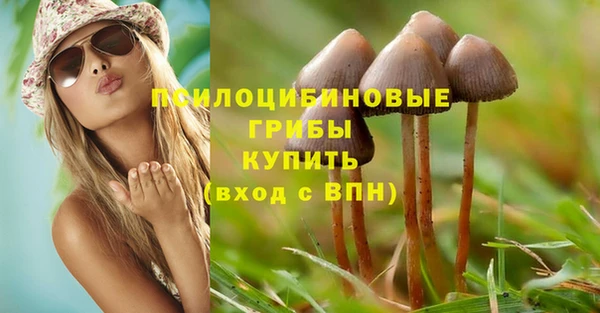 круглые Алексеевка