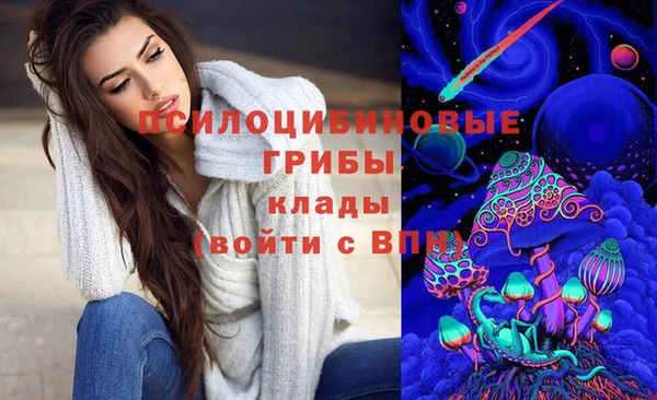 винт Алзамай