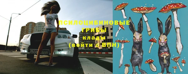 круглые Алексеевка